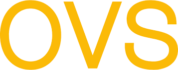 OVS Logo